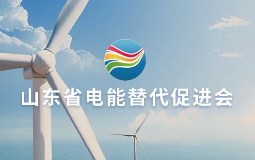 山(shān)東省電(diàn)能(néng)替代促進會